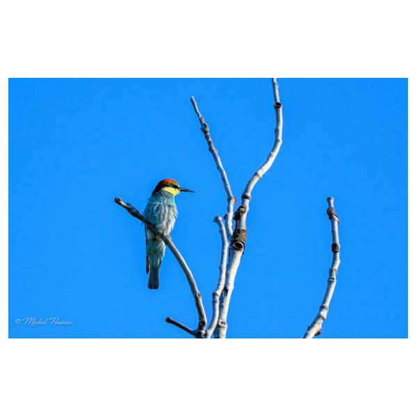 PHOTO84, CLUB, 84 , LUBERON